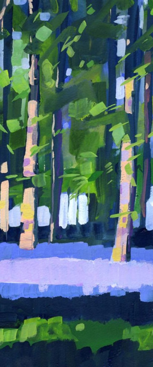 Bluebell woods by Stuart Roper