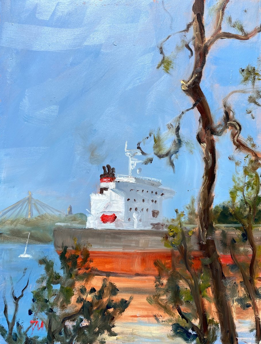 Sydney harbour- oil tanker at Berrys island by Shelly Du
