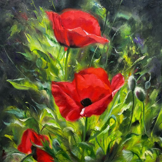 Poppies