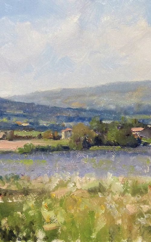 Lavender near Sault by Pascal Giroud