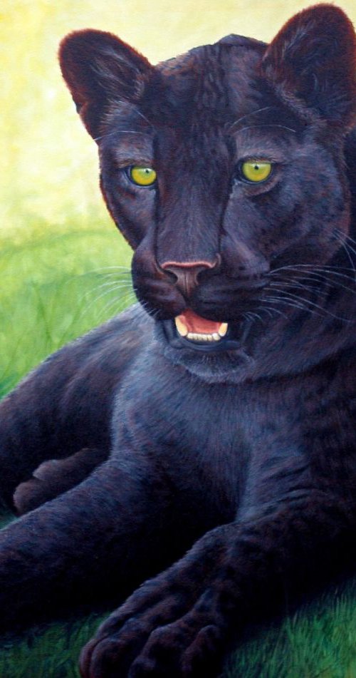 Lazy day panther. by Pauline Sharp