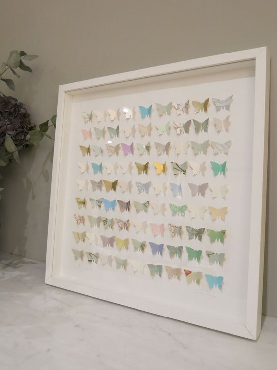 Wallpaper Butterfly Box