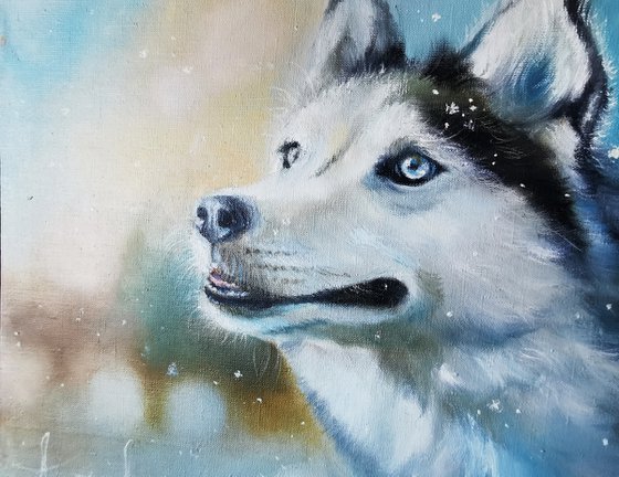 Husky oil painting, Husky wall art, Cat wall art, Dog lover gift