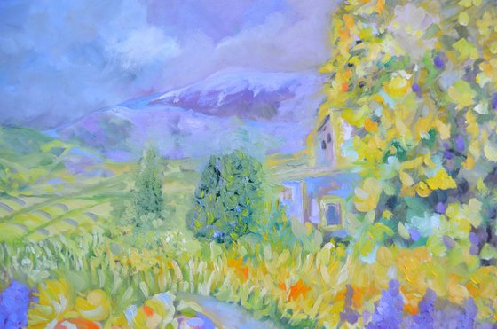 Tuscan Hills