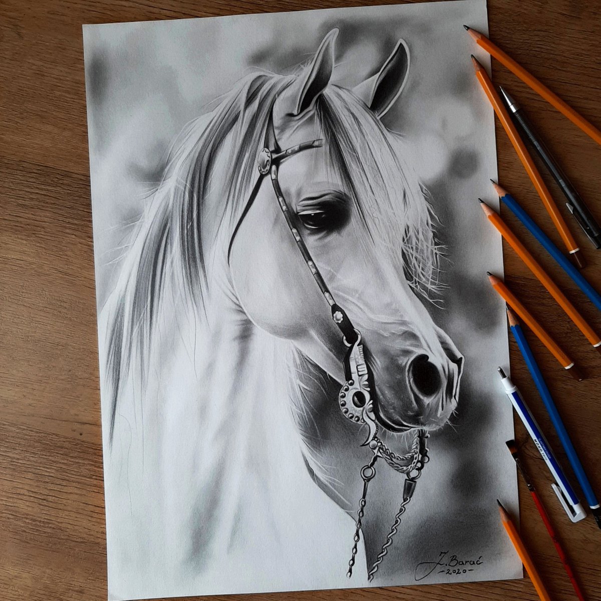 Arabian horse by Josip Bara?
