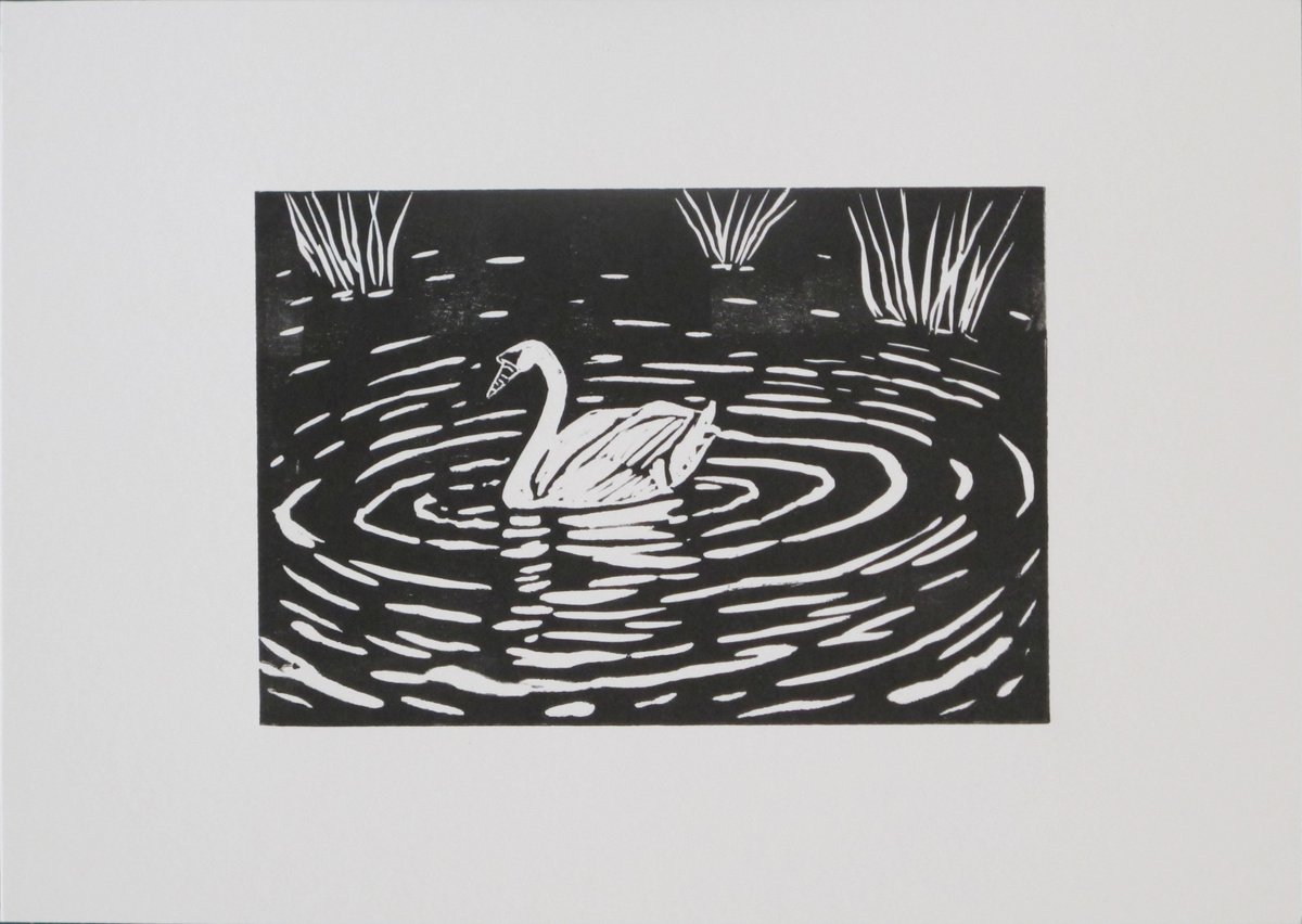 Swan Lake by Rory O’Neill