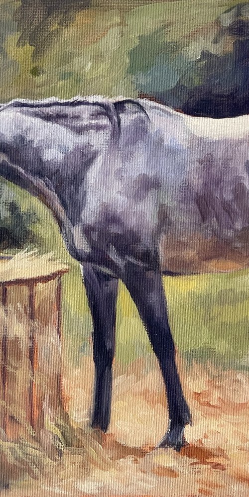 Peaceful - Dapple Grey Horse by Lorna Lancaster ASEA