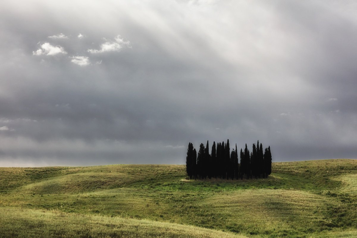 Impressionistic Photograph , I Cipressini (Studio 11) By Karim Carella, 45 X 31, Artwork For Sale On Artfinder