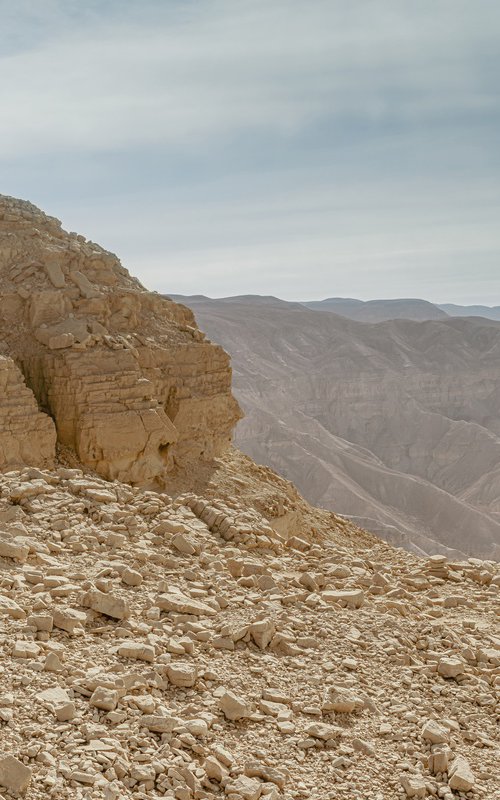 Only the desert by Lidiya Dmitrieva