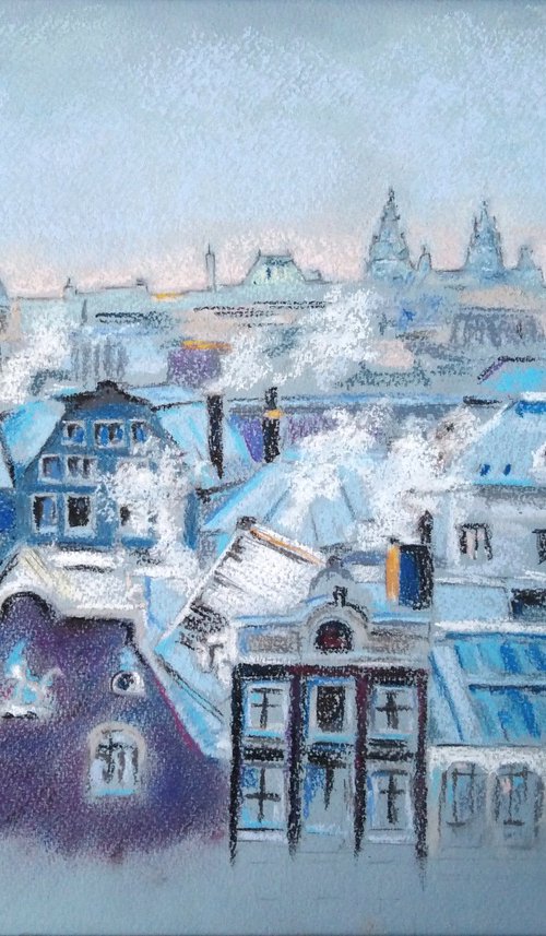 Flight over winter Amsterdam by Liubov Samoilova