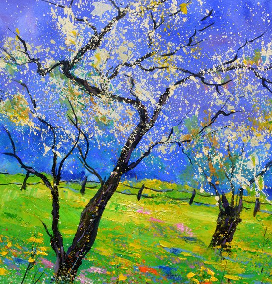 Appletrees in spring