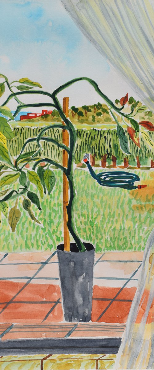 Window view with Avocado tree by Kirsty Wain