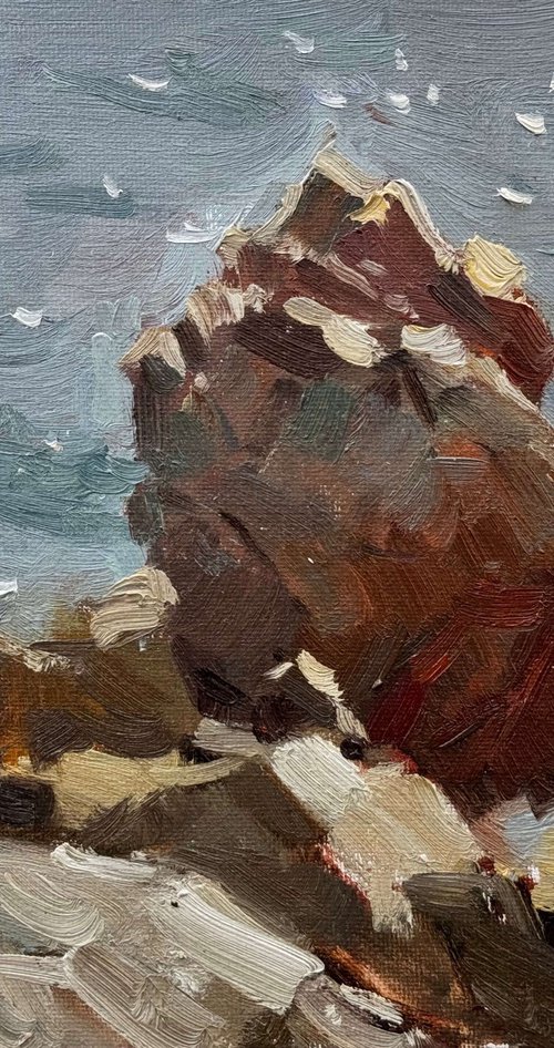Weathered by the Sea by Nataliia Nosyk
