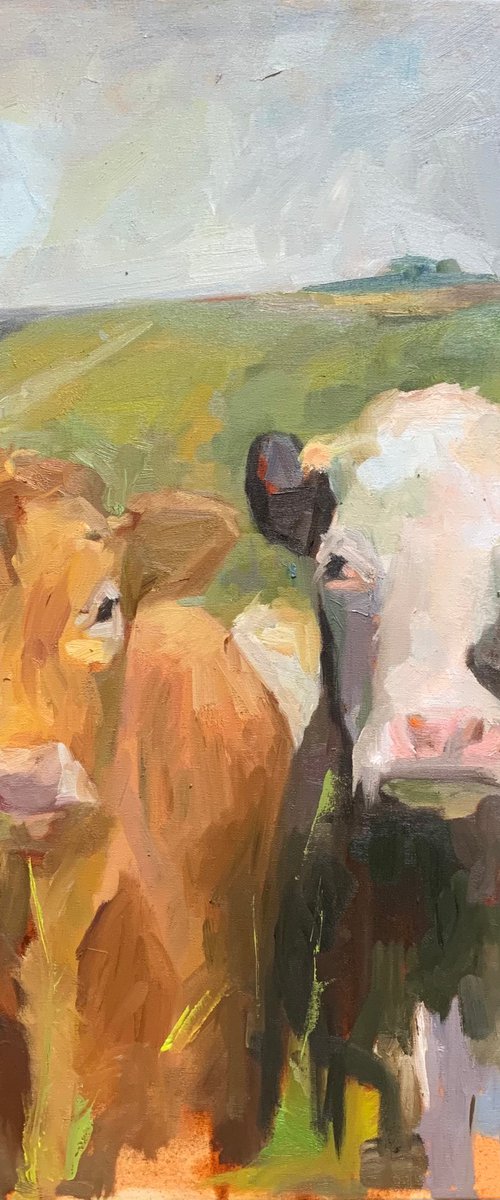 Les vaches by Ekaterina Belukhina