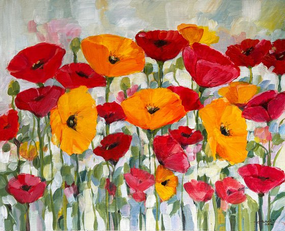 Dance of Poppies