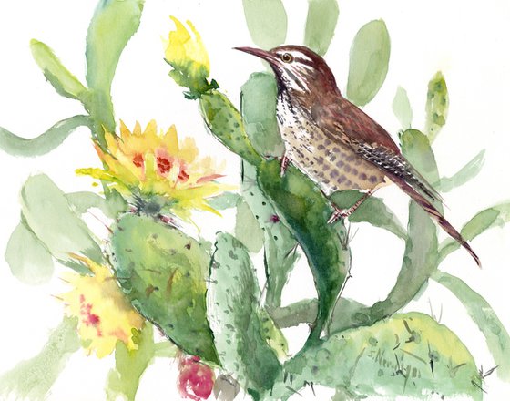 Cactus Wren