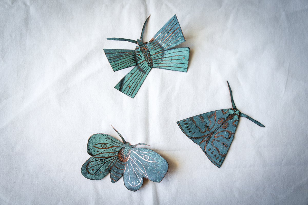 Three Copper Moths, Wall Pieces by Victoria Lucy Williams