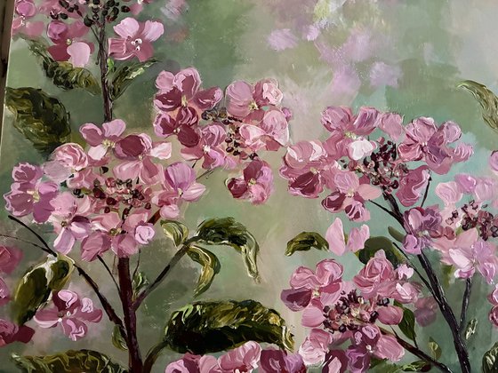 Hortensia Rose