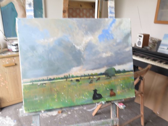Cow Meadow