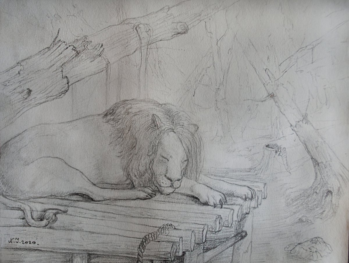 Lions` rest II by Nikola Ivanovic