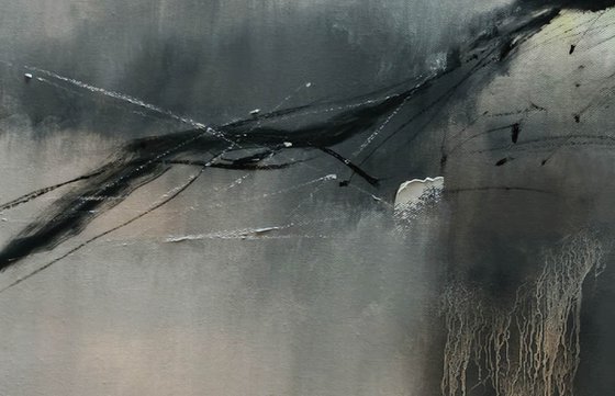 Amata luna