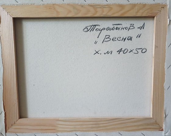 Spring Stream in the Forest