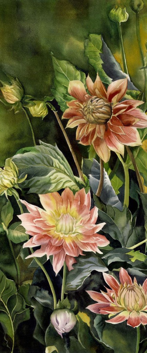 Dahlias in Autumn by Alfred  Ng