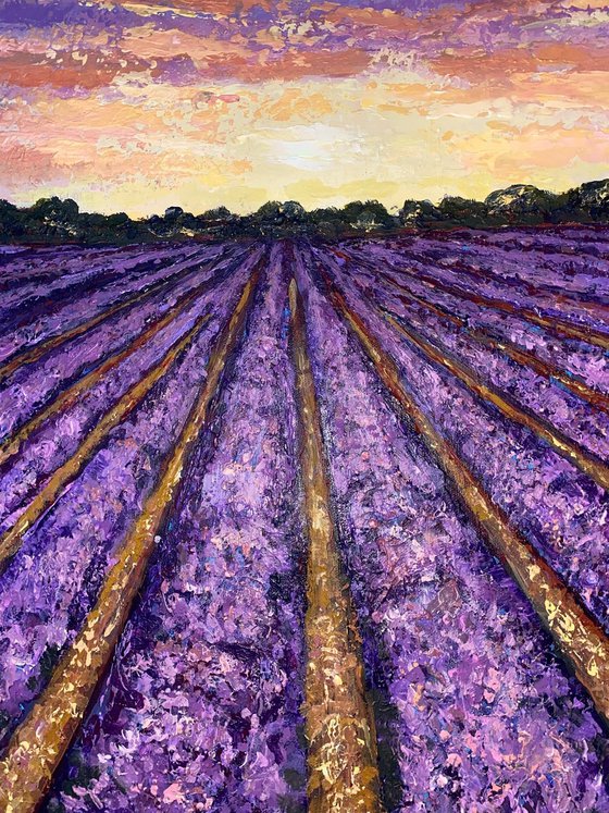 Lavender Sunrise