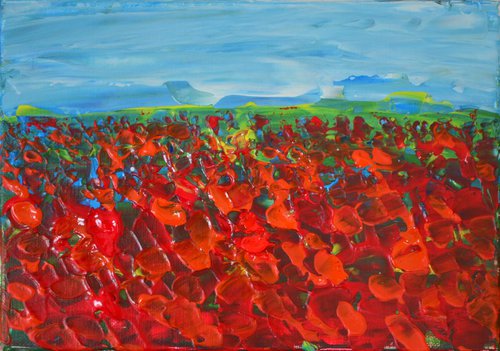 Field of Wild Poppies by Misty Lady - M. Nierobisz