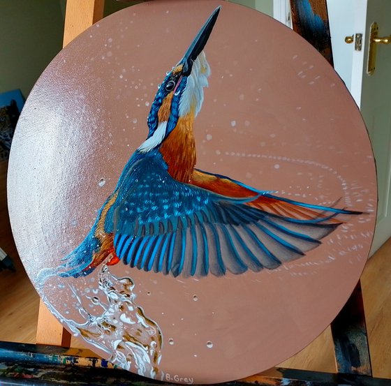 Kingfisher round painting