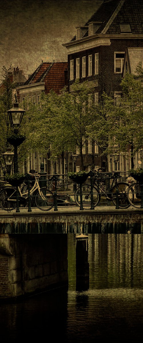 Bicycles at Leiden by Martin  Fry