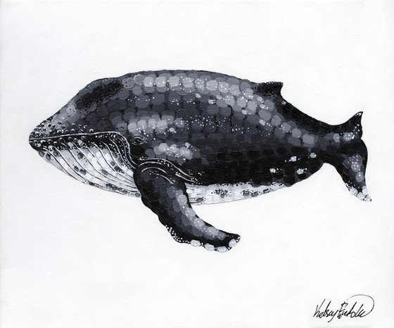 Humpback Whale