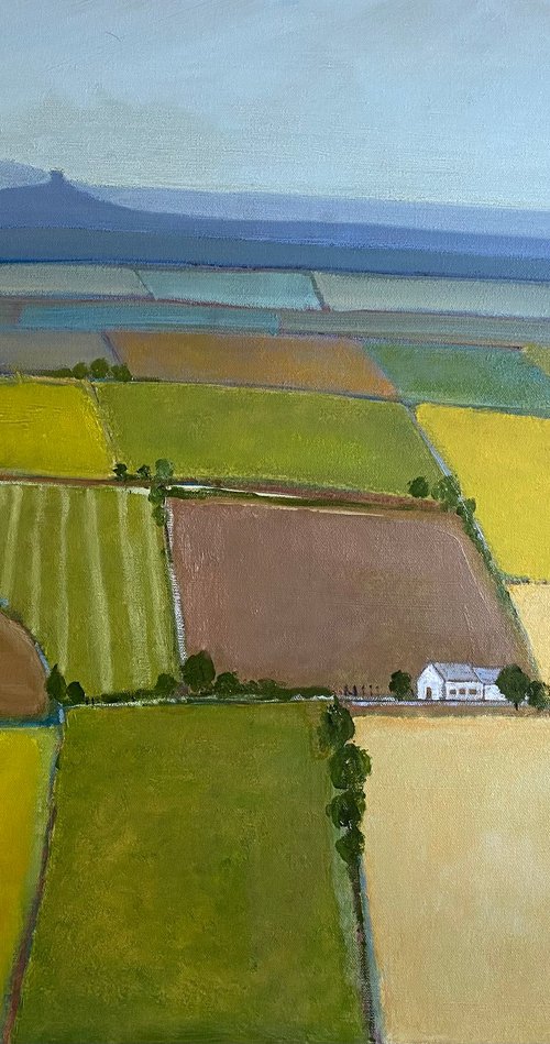 Wessex, Summer Fields by Nigel Sharman