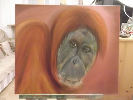 The Soul of an Orangutan