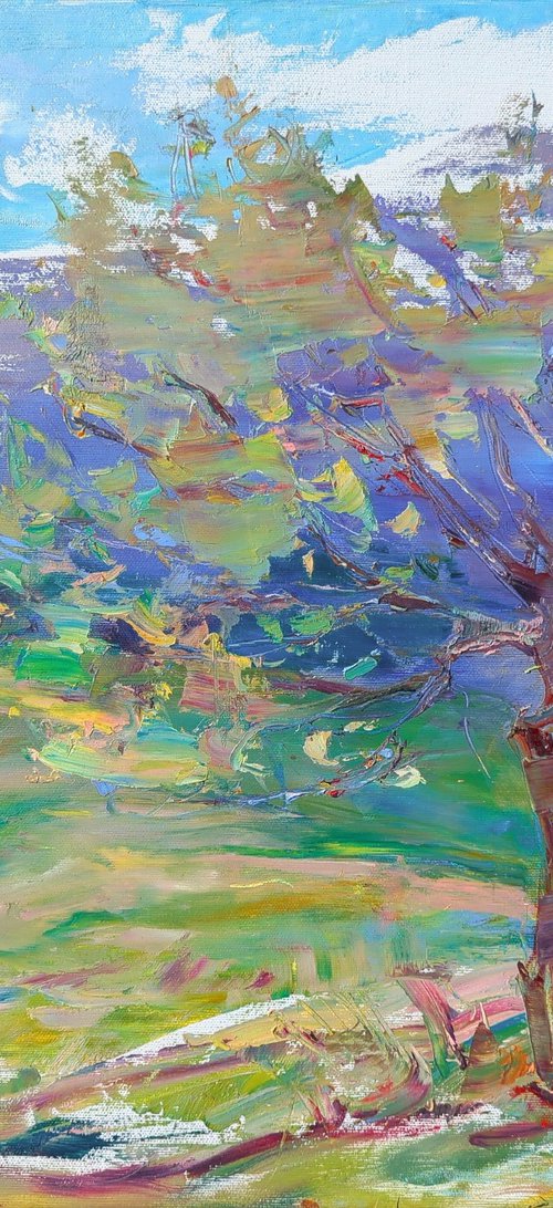 A Touch of Spring by Helen Shukina