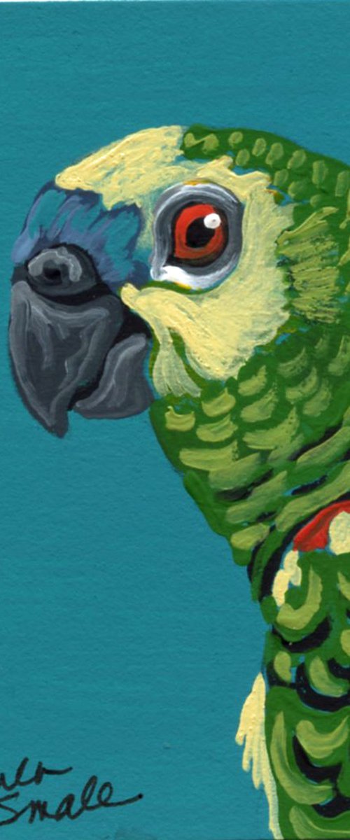 Amazon Parrot by Carla Smale