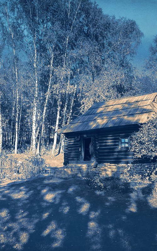 A hut in the forest. by Valerix