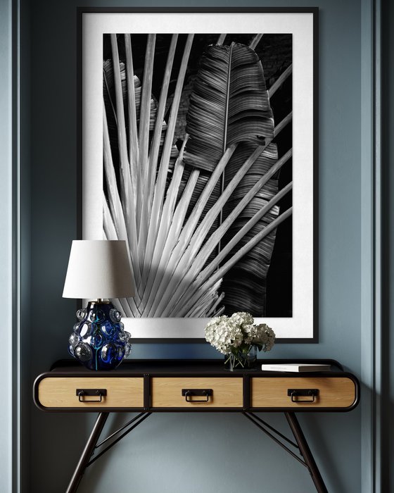 Radiant Frond