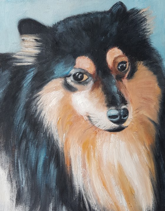 Pomeranian