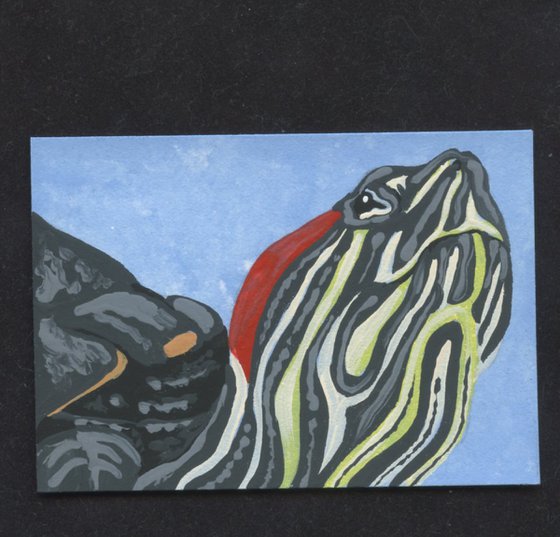 ACEO ATC Original Miniature Painting Red Ear Slider Pet Turtle Wildlife Art-Carla Smale