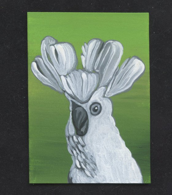 ACEO ATC Original Miniature Painting Umbrella Cockatoo Parrot Pet Bird Art-Carla Smale