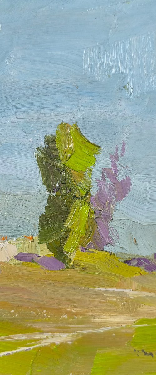 Spring by Alexander Shandor