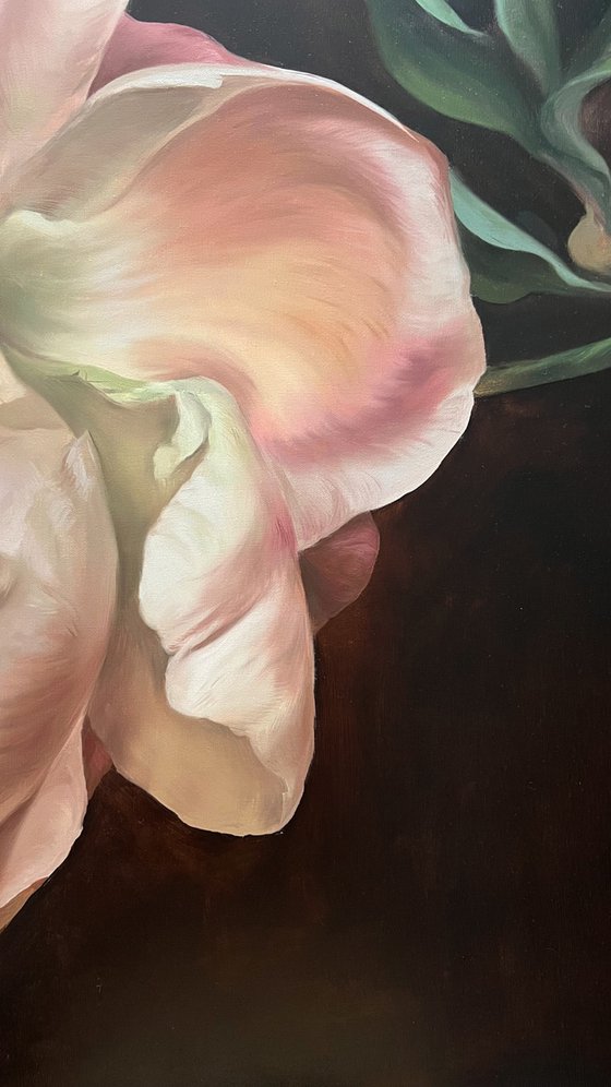 Old Holland flower 6