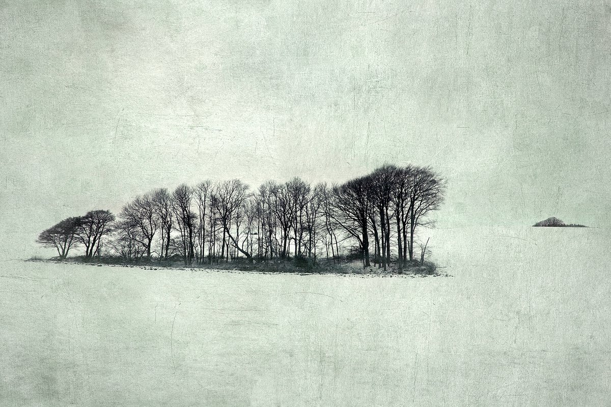 Impressionistic Landscape Photograph By Nadia Attura, 28 X 20", Colder, Original Artwork