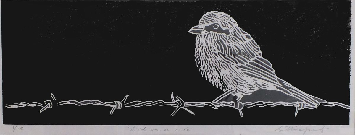 Bird on a wire by Billie Josef