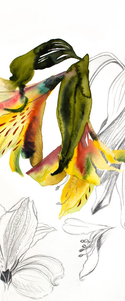 Lilies No. 5 by Elizabeth Becker