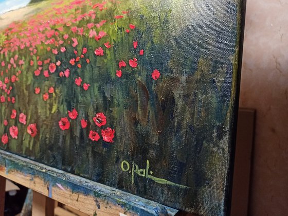 Poppies near the sea