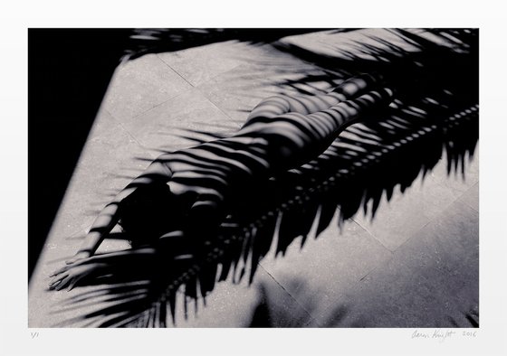 Composition with Figure and Palm Frond Shadows (sold)