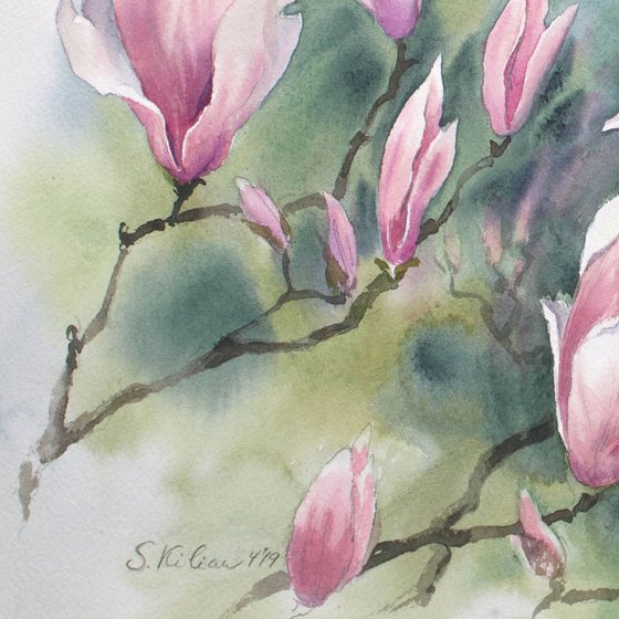 Magnolia Blossoms