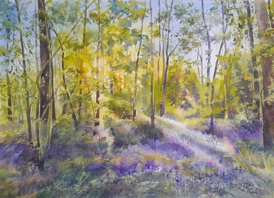 Bluebells at Oldmoor Wood I